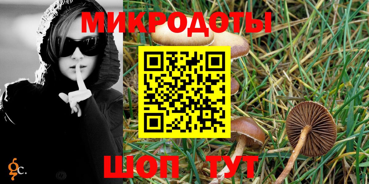 Галлюциногенные грибы Psilocybe  как найти закладки  Канск  Вход с VPN 